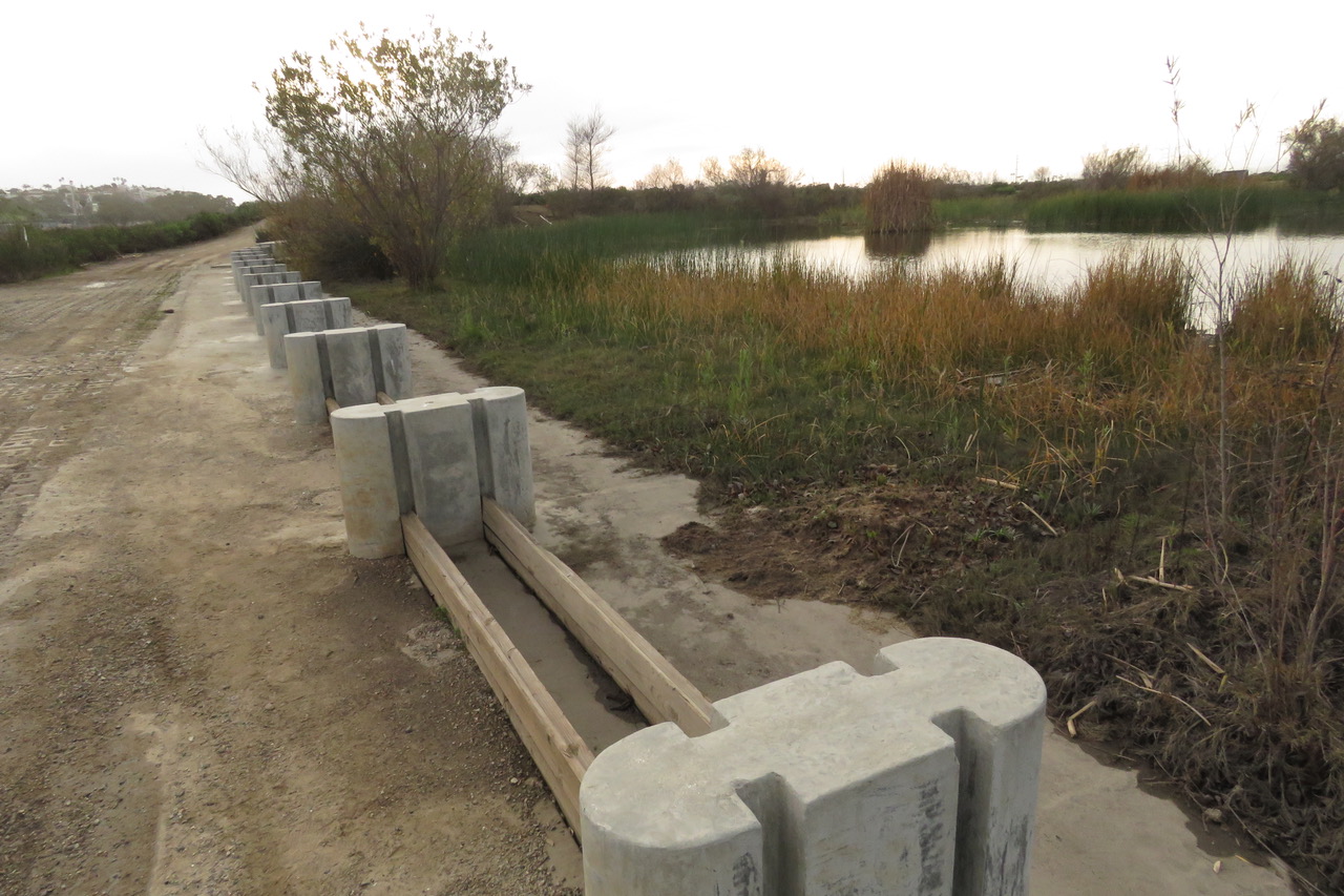 Ballona.Wetlands.Dewatering.Fresh_.Water_.Marsh_.lowering.the_.water_.level